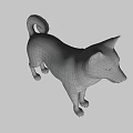 Realistic 3D Model Of Shiba Inu Dog With Brown White Coat Standing