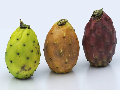 Three Prickly Pear Fruits Showing Green Orange and Red Colors with Spiny Surfaces on White Background 3d model