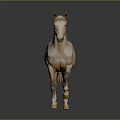 Light Brown Horse Walking on Black Ground with Gray Background and Flowing Mane and Tail