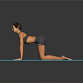 Woman Exercising On Blue Mat With Hands And Knees Position At Home