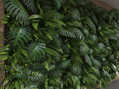 Natural Living Plant Wall With Monstera Leaves Ferns And Wooden Elements 3d model