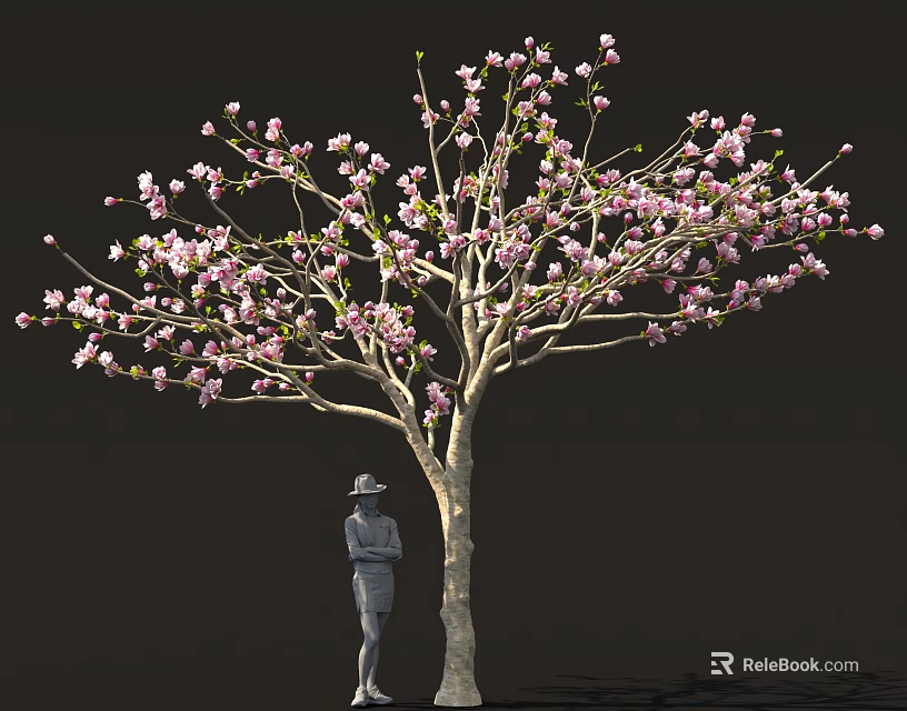 Beautiful Tree With Pink Blossoms And Person Wearing Hat Standing Below 3d model 