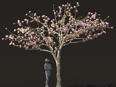 Beautiful Tree With Pink Blossoms And Person Wearing Hat Standing Below 3d model