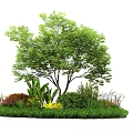 Lush Ground Cover Landscaping With Tall Tree Green Shrubs And Colorful Flowers