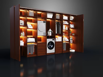 Contemporary Wooden Wardrobe With Interior Lighting Washing Machine Dryer Layered Storage And Hanging Garments 3d model