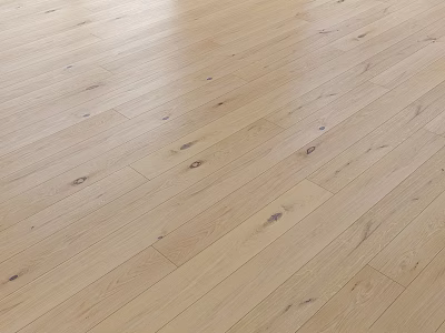 Light Colored Wooden Floor Interior With Smooth Texture And Natural Knot Patterns 3d model
