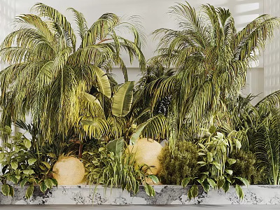 Lush Tropical Indoor Landscape With Palm Trees Various Plants And Green Foliage 3d model