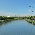 Scenic Waterfront Landscape With River Greenery Trees Distant Buildings And Flying Birds