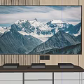 TV Displaying Snowy Mountain Scene Mounted on Wooden Wall with Cabinet Speakers and Green Plant