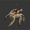Spotted Crab With Long Antennae And Brown Green Legs On Dark Background
