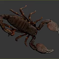 Realistic Brown Scorpion with Large Claws and Segmented Exoskeleton on Dark Surface 3d model