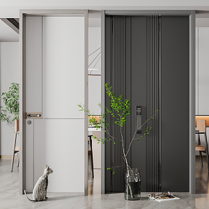 Modern swing door entry door bedroom door combination 3d model