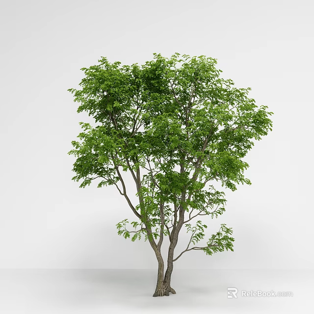 Vibrant Green Arbor Tree With Dense Foliage Strong Trunk And Tall Structure 3d model