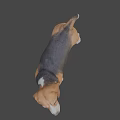 Game Movie Character Beagle Dog 3D Model Standing Pose Brown Black White Fur