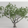 Modern tree landscape tree towering tree 3d model