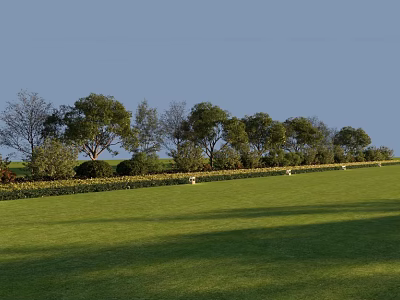 Lush Plant Combination with Trees Shrubs and Green Grass in Open Landscape 3d model