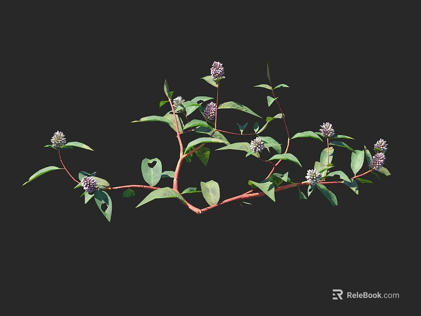 Vibrant Flowering Plants With Small Purple Flowers Green Leaves And Red Stems 3d model 