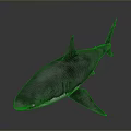 Realistic 3D Model of Grey Shark with Sharp Fins and Sleek Body
