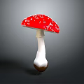 Red Mushroom With White Spots On Cap And White Stem Brown Base