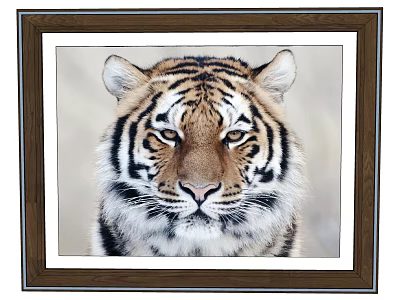 Striped Tiger Head Closeup Animal Painting With Brown Frame Sharp Eyes Light Background 3d model