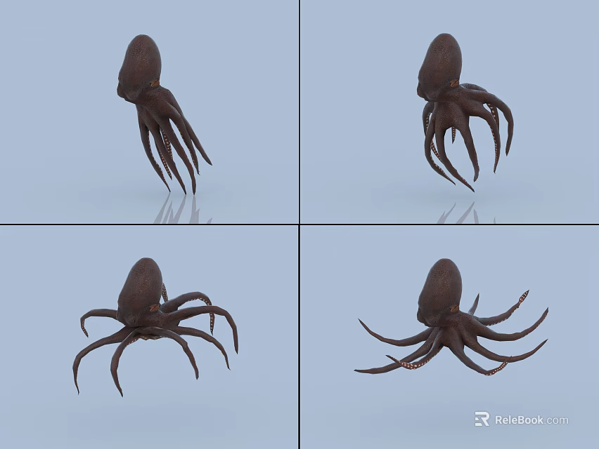 Realistic Octopus 3D Model With Detailed Tentacles In Multiple Poses As Aquatic Creature 3d model
