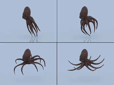 Octopus Octopus with binding and animation 3d model