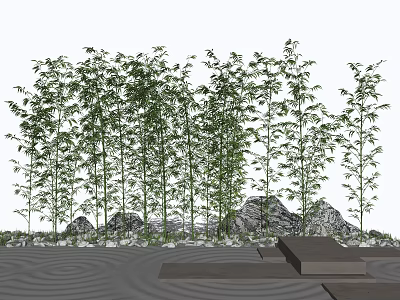 Lush Bamboo Grove Landscape With Stone Accents Slate Pathway And Wavy Sand Patterns 3d model