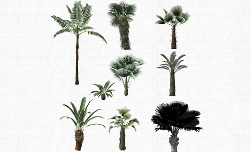 Landscape Plant Tree 3d model