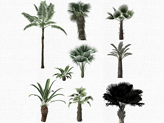 Landscape Plant Tree 3d model