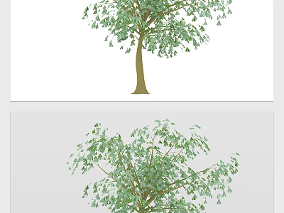 Lush Arbor Tree With Green Foliage Strong Trunk And Natural Structure 3d model