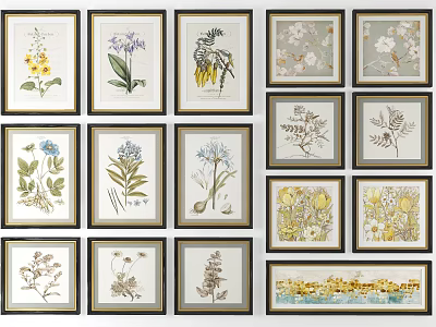 Framed Botanical Prints Collection With Various Floral And Leaf Designs For Wall Decor 3d model