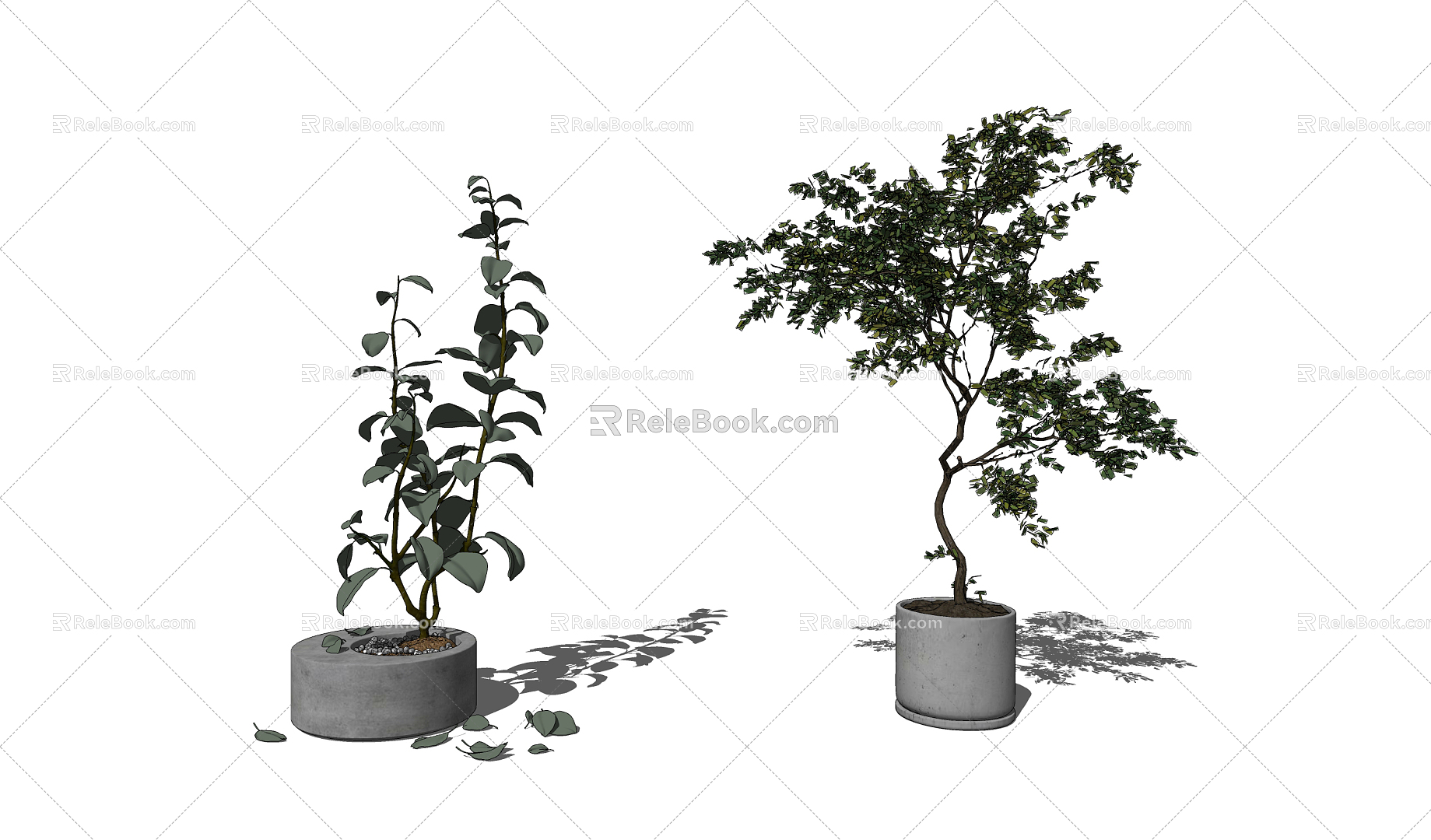 Modern Potted Simple Plant Potted Plant model