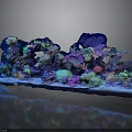 Colorful Marine Animals Thriving in Vibrant Coral Reef Aquarium with Luminous Decor and Colorful Coral