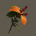 Realistic Orange Lily Flower With Green Leaves Water Droplets On Gradient Blue Pink Background