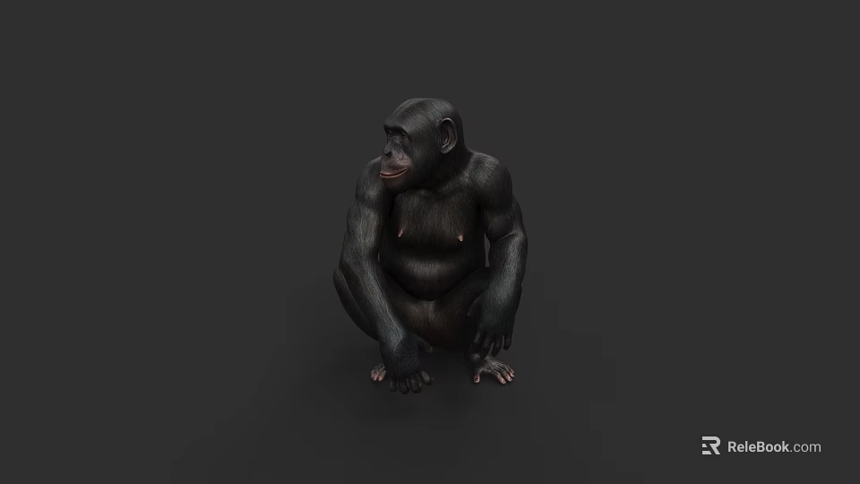 Realistic 3D Chimpanzee Model Sitting On Dark Background With Detailed Features 3d model 