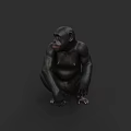 Realistic 3D Chimpanzee Model Sitting On Dark Background With Detailed Features