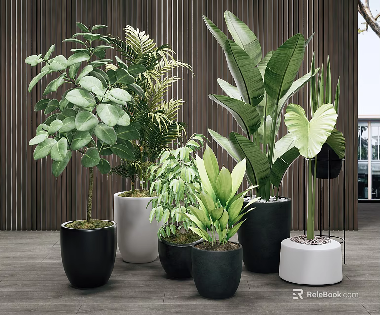 Bonsai Potted Plants With Various Leafy Greenery In Modern Indoor Colorful Pots 3d model 
