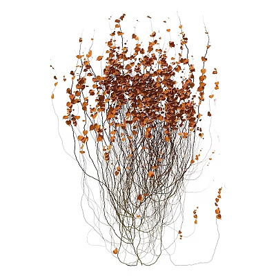 Graceful Brown Slender Branches With Small Leaves Decorative Dried Flowers Arrangement 3d model
