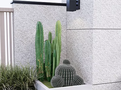 Low Green Shrubs Growing Beside Gray Wall White Fence And Green Cacti 3d model
