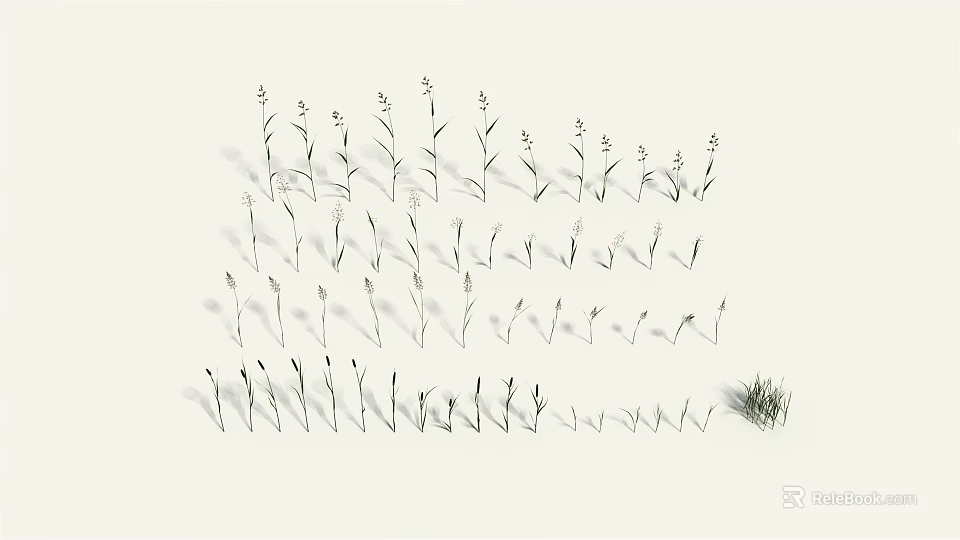 Slender Grass And Small Plants Arrangement In Minimalist Style On White Background 3d model 