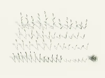 Slender Grass And Small Plants Arrangement In Minimalist Style On White Background 3d model