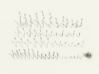 Modern Grass 3d model