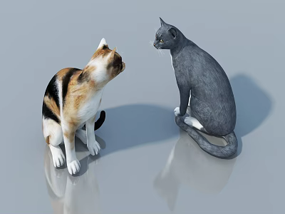 Two Reptiles Lizards Sitting Face To Face On Smooth Grey Floor With Reflections 3d model