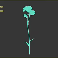Three White Petal Yellow Center Daisies With Green Stem And Leaves