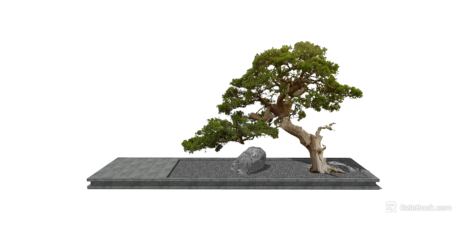 Bonsai Tree With Curved Trunk Green Foliage On Stone Slab Base 3d model