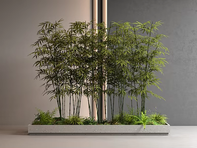 Modern Indoor Bamboo in Rectangular Planter with Small Green Plants Against Gray Wall 3d model