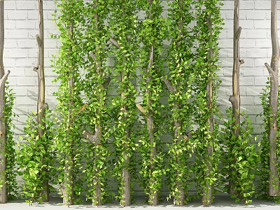 Green Plant Wall Decorated with Green Vines and Tree Trunks Against White Brick Wall 3d model