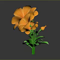 Orange Flowers With Green Stems And Leaves On Grey Background With Reflections