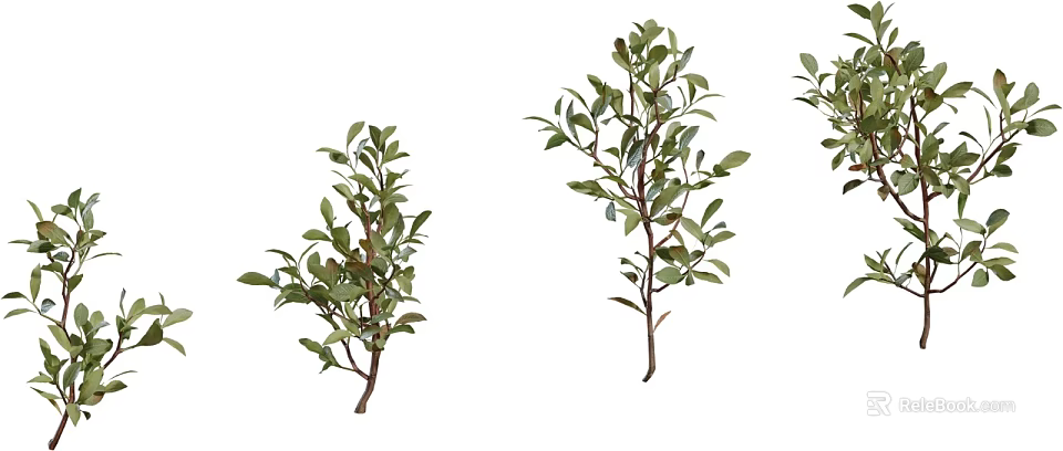 Three Fresh Green Leaf Floral Branches For Vase Decoration And Home Decor 3d model 