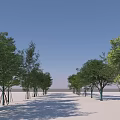 Row of Neatly Arranged Arbor Trees in Open Flat Area with Shadows
